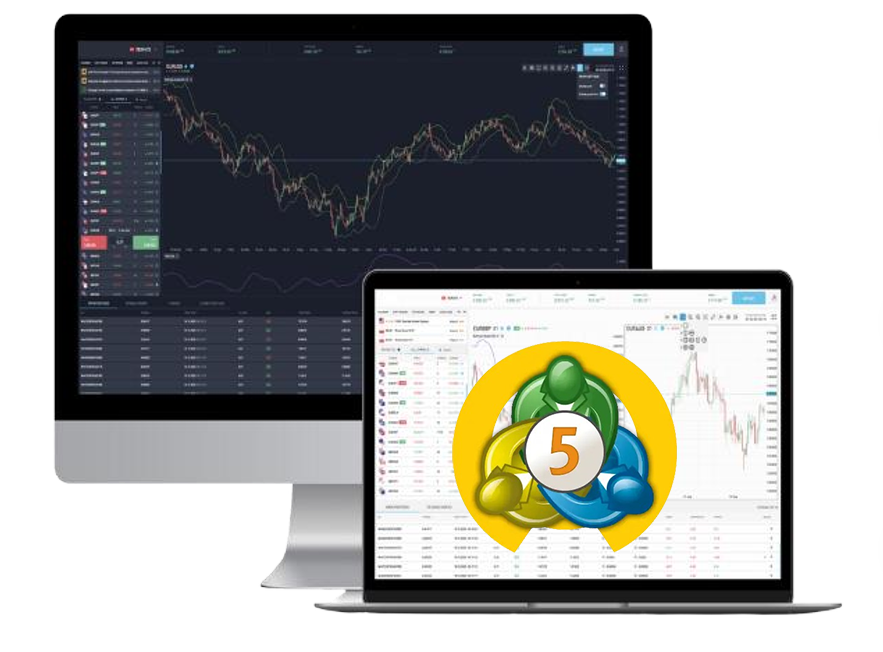 MT5 Trading Terminals
